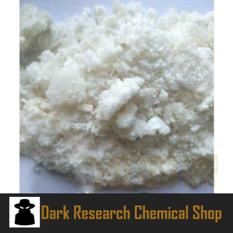 Lyophilized Powder Vials